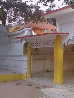 Nemala PadmaVana Shri Achyuta Pitha