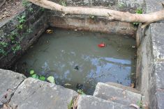 The well at Konark Abadhut Ashram from where Taamrapothi was recovered