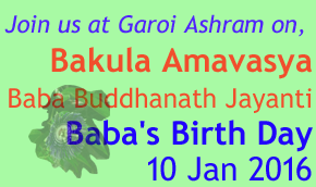 10-Jan 2016 Baba's Buddhanath Jayanti